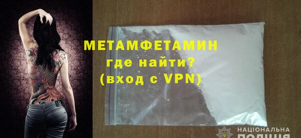 прущие грибы Тихвин