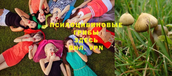 СК Тихорецк