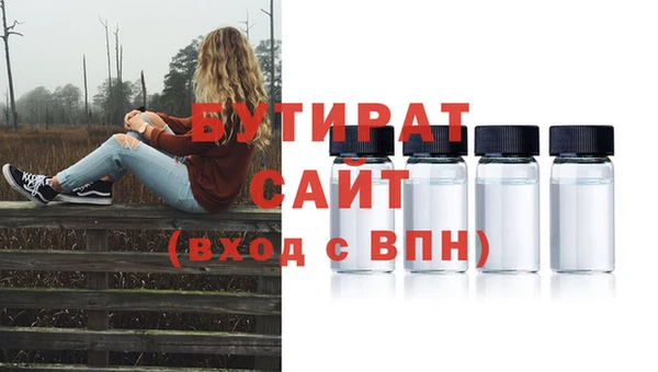 прущие грибы Тихвин
