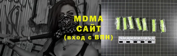 прущие грибы Тихвин