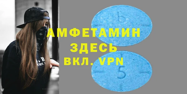 прущие грибы Тихвин