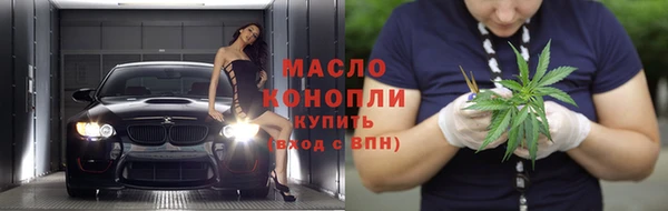прущие грибы Тихвин