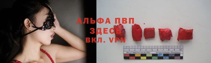 СК Тихорецк