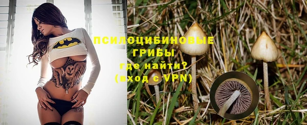 марки lsd Тобольск