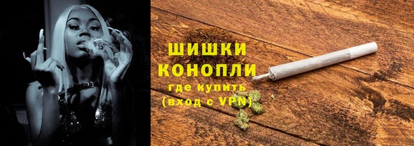 прущие грибы Тихвин