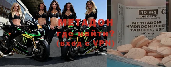 прущие грибы Тихвин