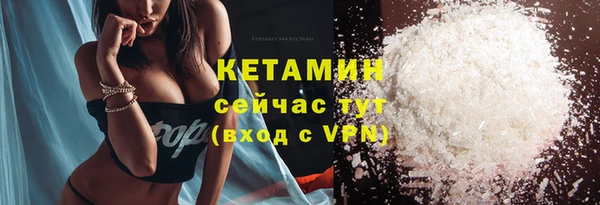 прущие грибы Тихвин